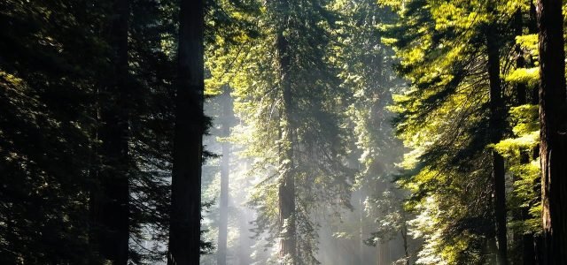 05-taxi Helsingborg taxi121220.se 05-taxi Helsingborg taxi121220.se